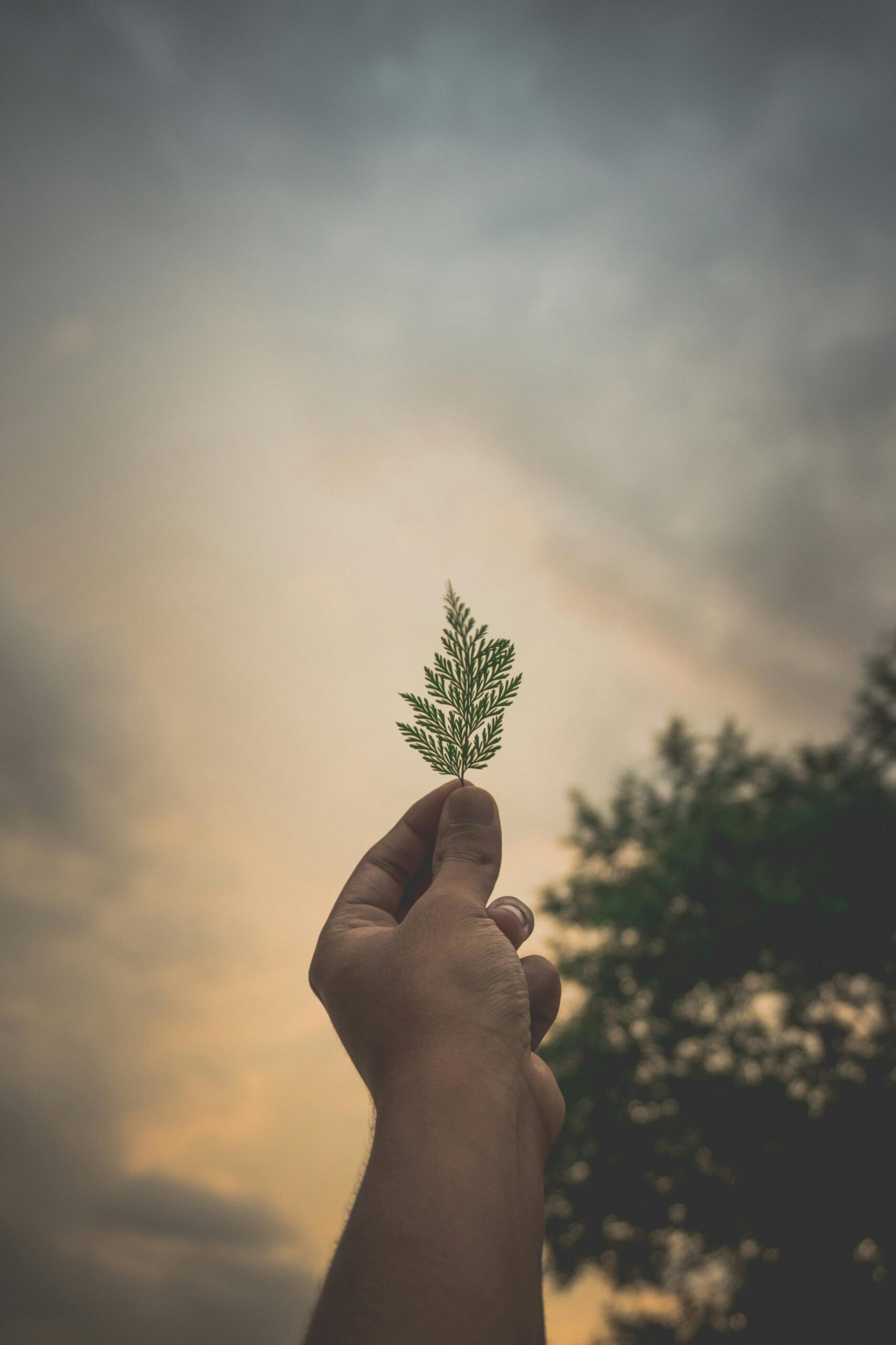 A serene scene of a hand holding a small leaf against a colorful sky during sunset, symbolizing nature and tranquility.