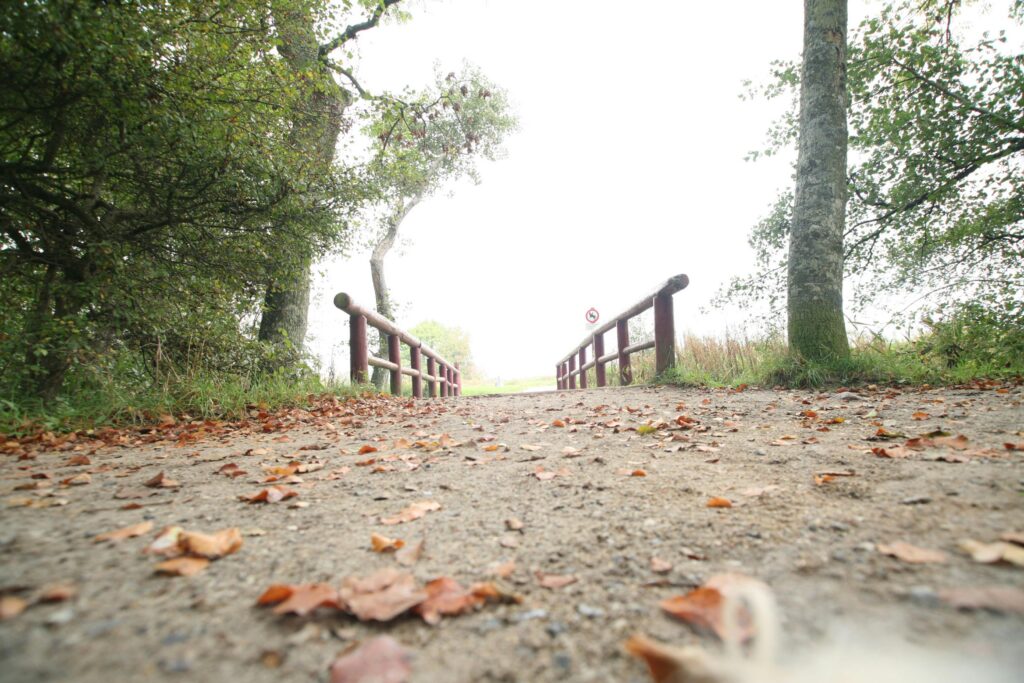 A serene autumn scene featuring a bridge on a leaf-strewn walkway in a park.